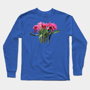 Orchid Chorus Line Long Sleeve T-Shirt